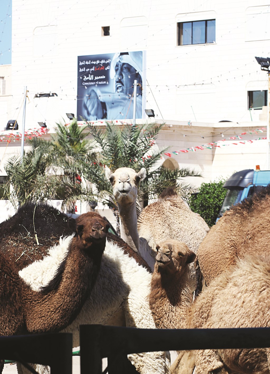 u062fu064au0648u0627u0646 u0627u0644u0628u0631u0627u0643 u064au0633u062au0639u062f u0644u062eu0631u0648u062cu0647 (u062au0635u0648u064au0631 u0623u0633u0639u062f u0639u0628u062fu0627u0644u0644u0647)