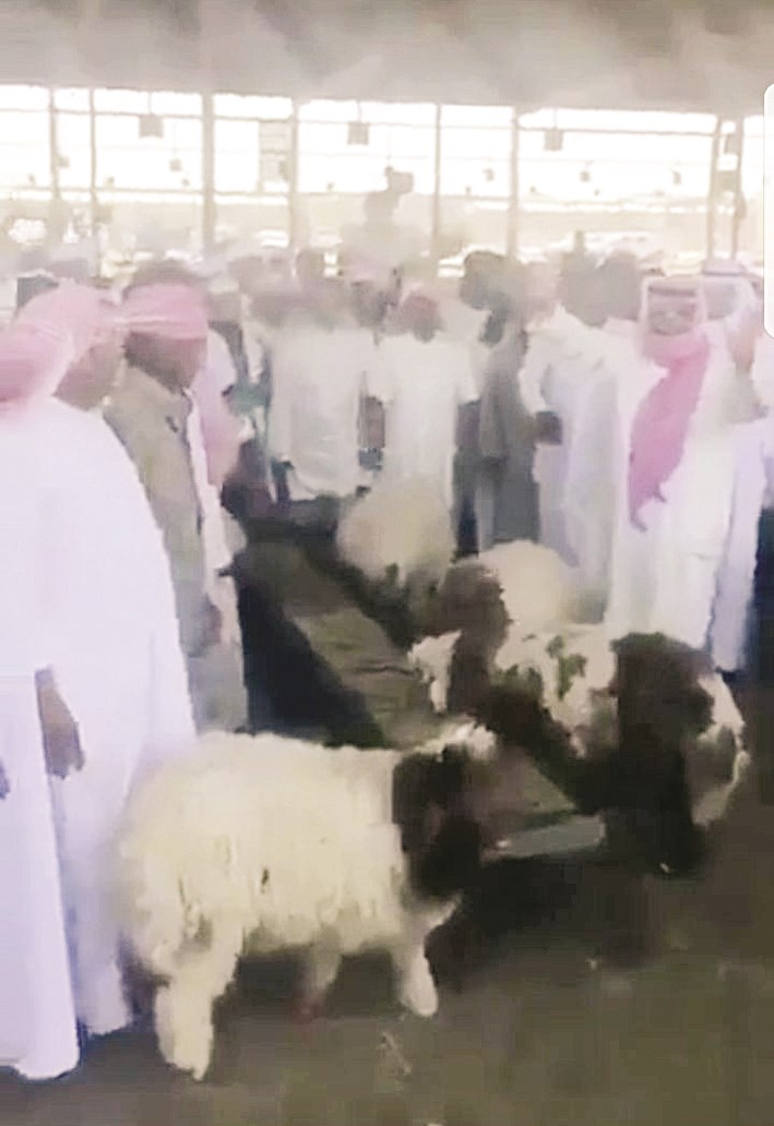 u0627u062du062au062cu0627u062c u0639u0644u0649 u0631u0641u0639 u0623u0633u0639u0627u0631 u0627u0644u0627u064au062cu0627u0631u0627u062a