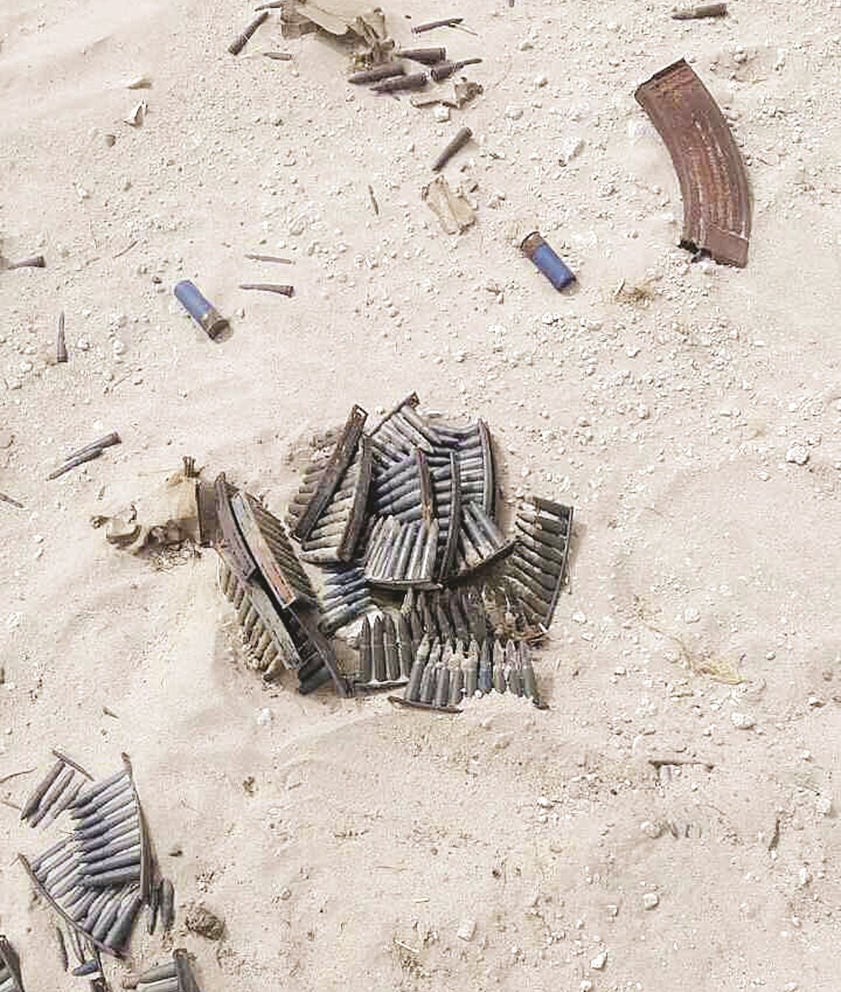 u0628u0639u0636 u0627u0644u0630u062eu0627u0626u0631