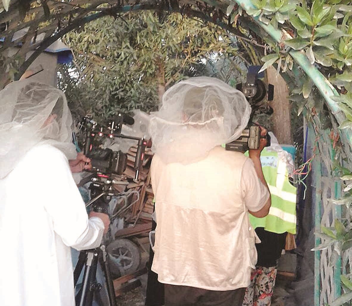 التعرف على عالم النحل عن قرب