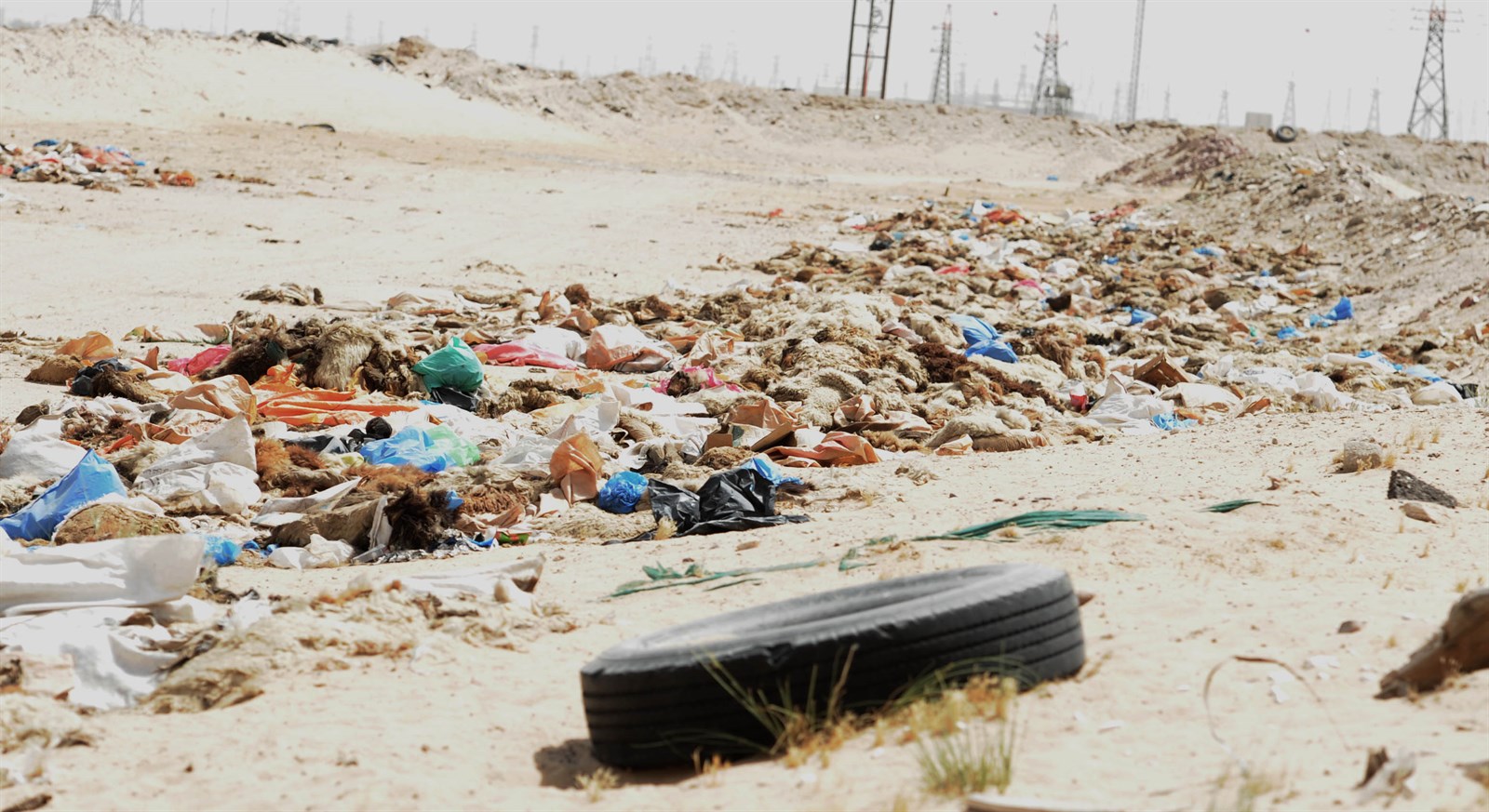 نفايات المسالخ على امتداد الموقع