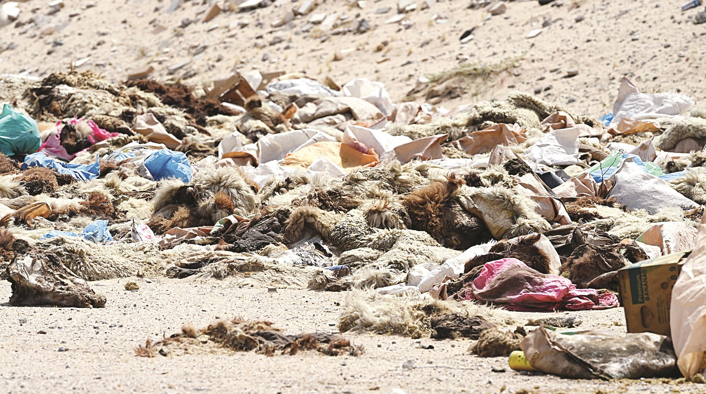 u0645u0647u0645u0629 u062bu0627u0646u064au0629 u0644u0625u0631u062du064au0629 u0628u0639u062f u0627u0644u0625u0637u0627u0631u0627u062a... u0645u0643u0628 u0646u0641u0627u064au0627u062a  (u062au0635u0648u064au0631 u062cu0627u0633u0645 u0628u0627u0631u0648u0646 u0648u0633u0639u0648u062f u0633u0627u0644u0645)