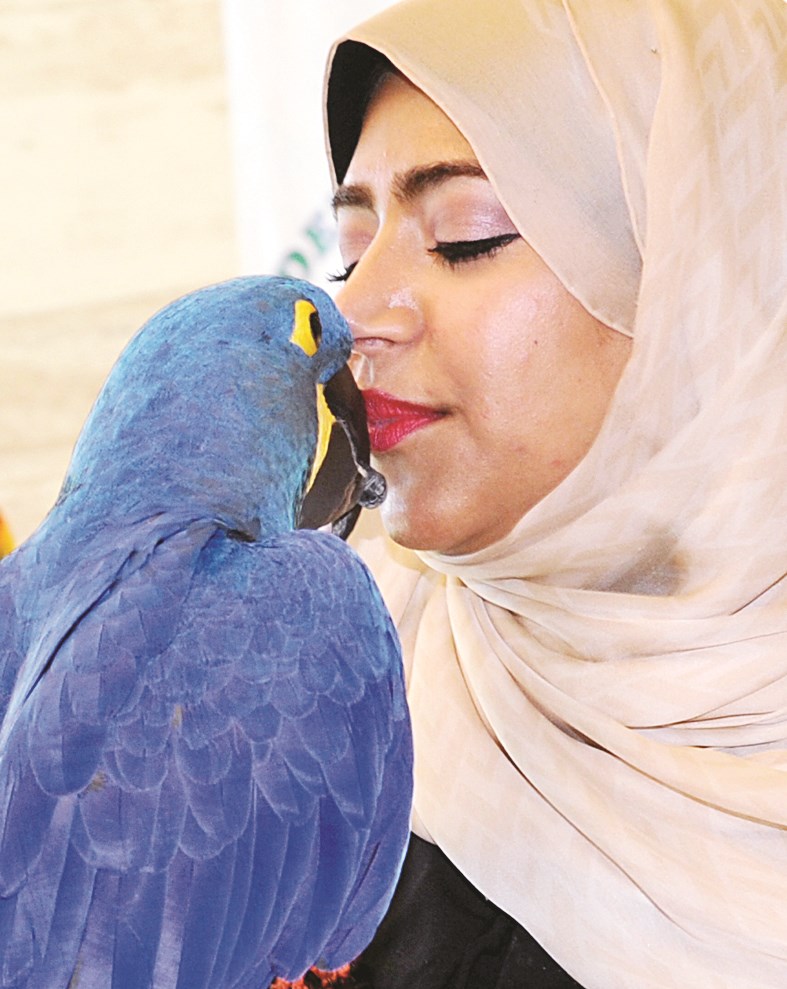 مشاركة لفريق «الريش الحسّاس للببغاوات»