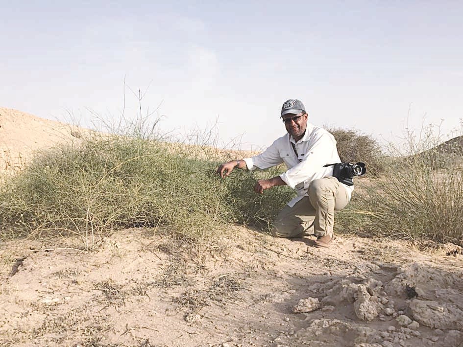 u0627u0644u0633u0631u064au0639 u0625u0644u0649 u062cu0627u0646u0628 u0625u062du062fu0649 u0627u0644u0646u0628u062au062au064au0646