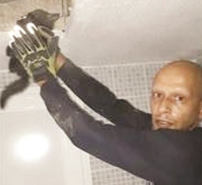 u0627u0644u0642u0637 u0628u0639u062f u0625u0646u0642u0627u0630u0647