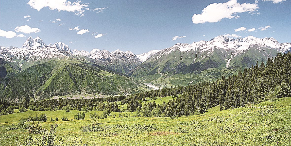 u0645u0646u0637u0642u0629 u0633u0641u0627u0646u064au062au064a u0641u064a u0627u0644u0634u0645u0627u0644 u0627u0644u063au0631u0628u064a u0644u062cu0648u0631u062cu064au0627