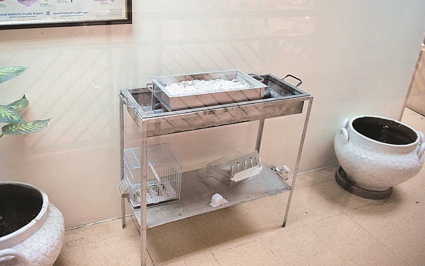 «دوة فحم» في مكتب موظفي البلدية