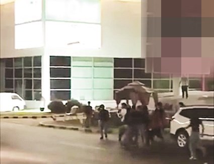 u0641u0632u0639u0629 u0623u062du062fu0627u062b u0641u064a u0645u0643u0627u0646 u00abu0627u0644u0647u0648u0634u0629u00bb