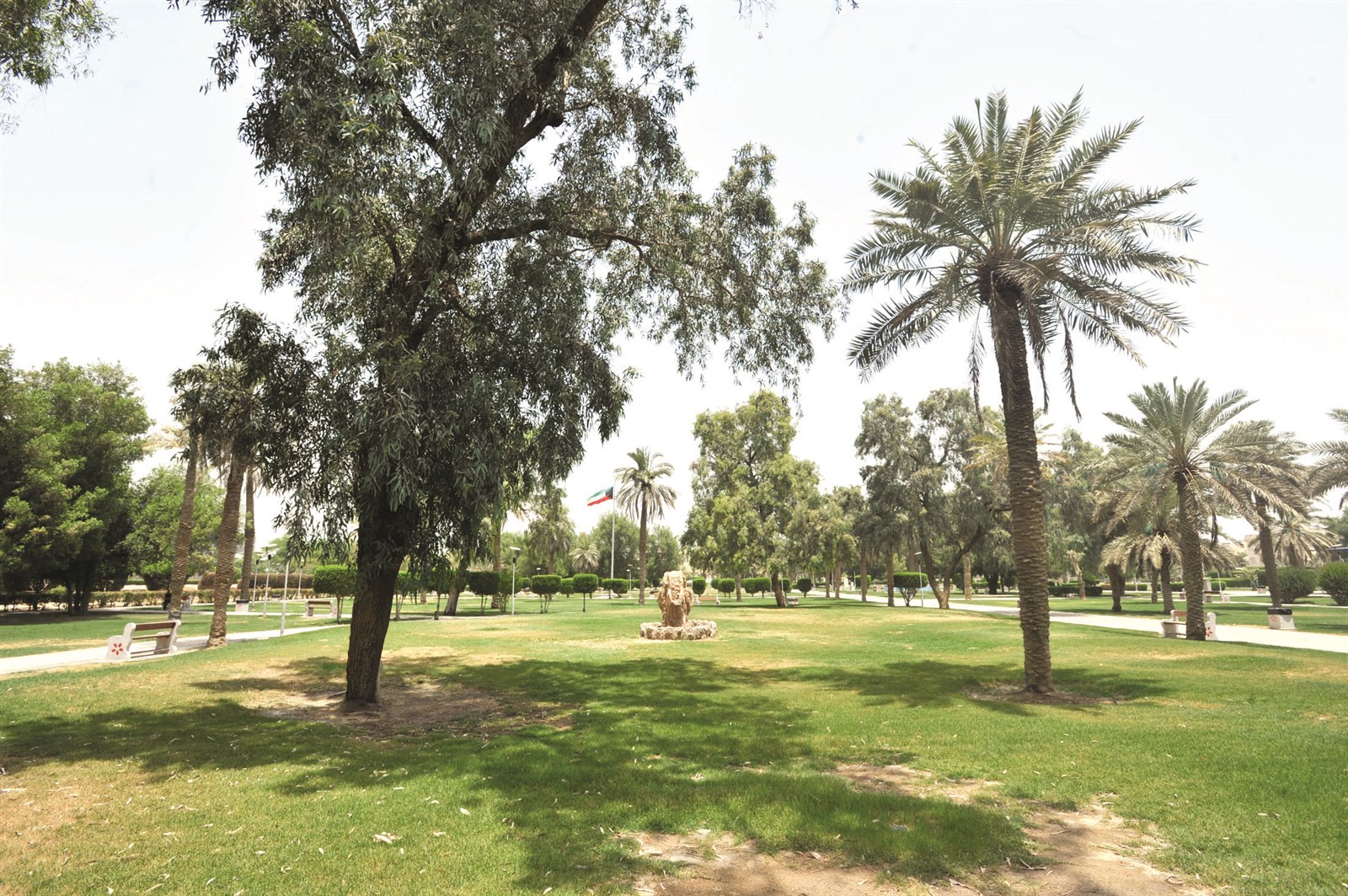 u062du062fu064au0642u0629 u062cu0645u0627u0644 u0639u0628u062f u0627u0644u0646u0627u0635u0631 u0646u062cu062a u0628u0623u0639u062cu0648u0628u0629 u0645u0646 u0645u0630u0628u062du0629    (u062au0635u0648u064au0631 u0623u0633u0639u062f u0639u0628u062f u0627u0644u0644u0647)