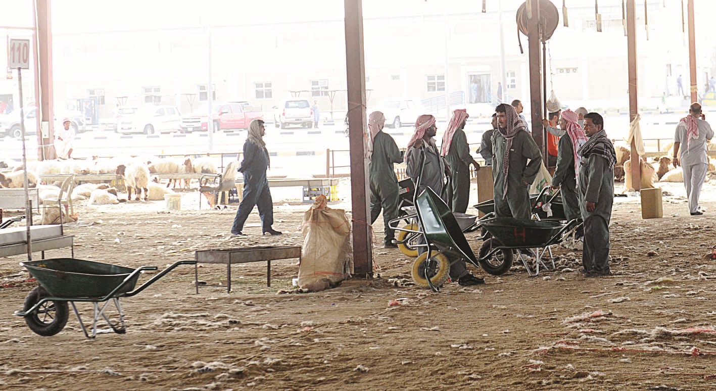 العمالة تتجمع في الصفاة بعد الحملة