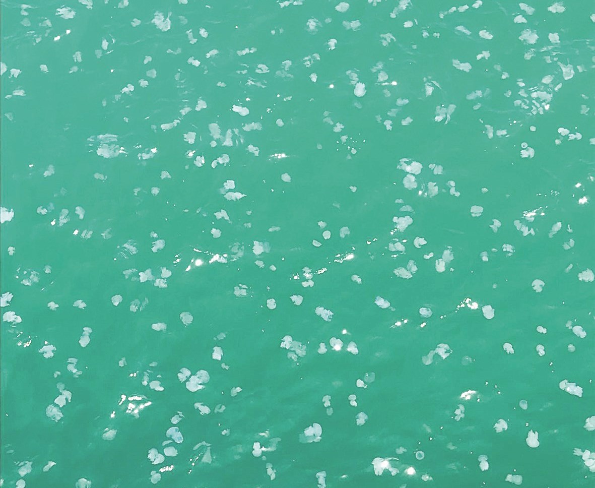 u00abu0642u0646u0627u062fu064au0644u00bb u062au062cu0645u0651u0639u062a u0627u0633u062au0639u062fu0627u062fu0627u064b u0644u0644u0647u062cu0648u0645 u0639u0644u0649 u0645u062du0637u0629 u0627u0644u0632u0648u0631