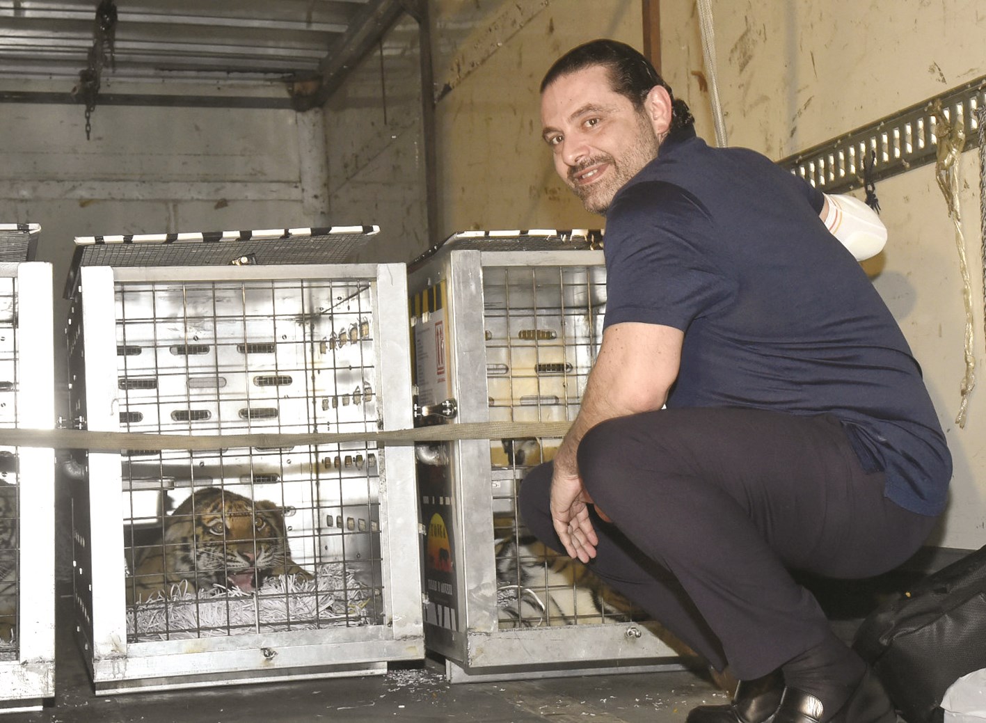 u0633u0639u062f u0627u0644u062du0631u064au0631u064a u0623u0645u0627u0645 u0627u0644u0646u0645u0648u0631 u0627u0644u062bu0644u0627u062bu0629