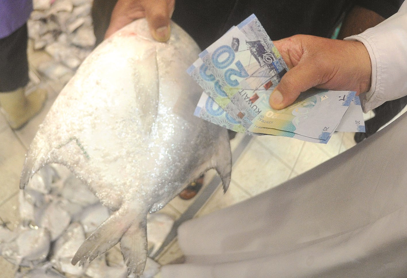 u0627u0644u0632u0628u064au062fu064a... u00abu063au0627u0644u064au00bb (u062au0635u0648u064au0631 u0623u0633u0639u062f u0639u0628u062fu0627u0644u0644u0647)