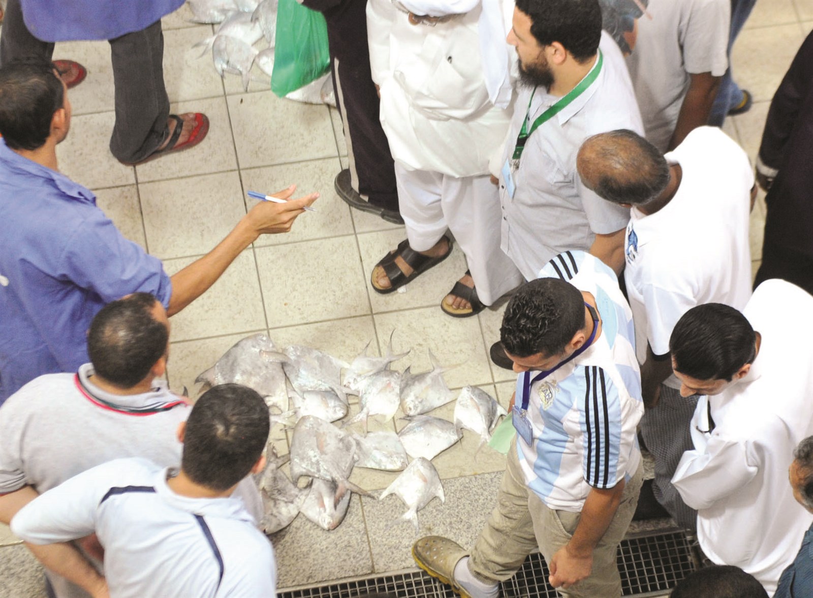 عمليات المزايدة على السمك