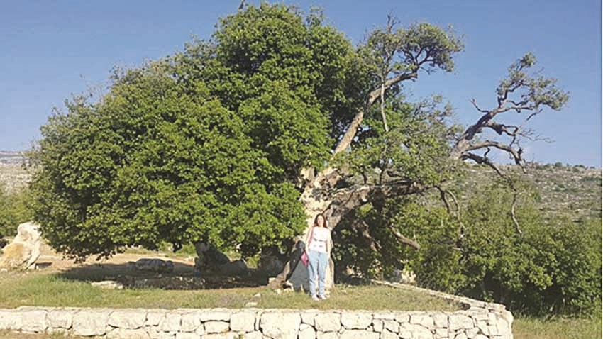 u00abu0627u0644u0631u0627u064au00bb... u062au062du062a u00abu0633u0646u062fu064au0627u0646u0629 u0627u0644u0623u062du0644u0627u0645u00bb