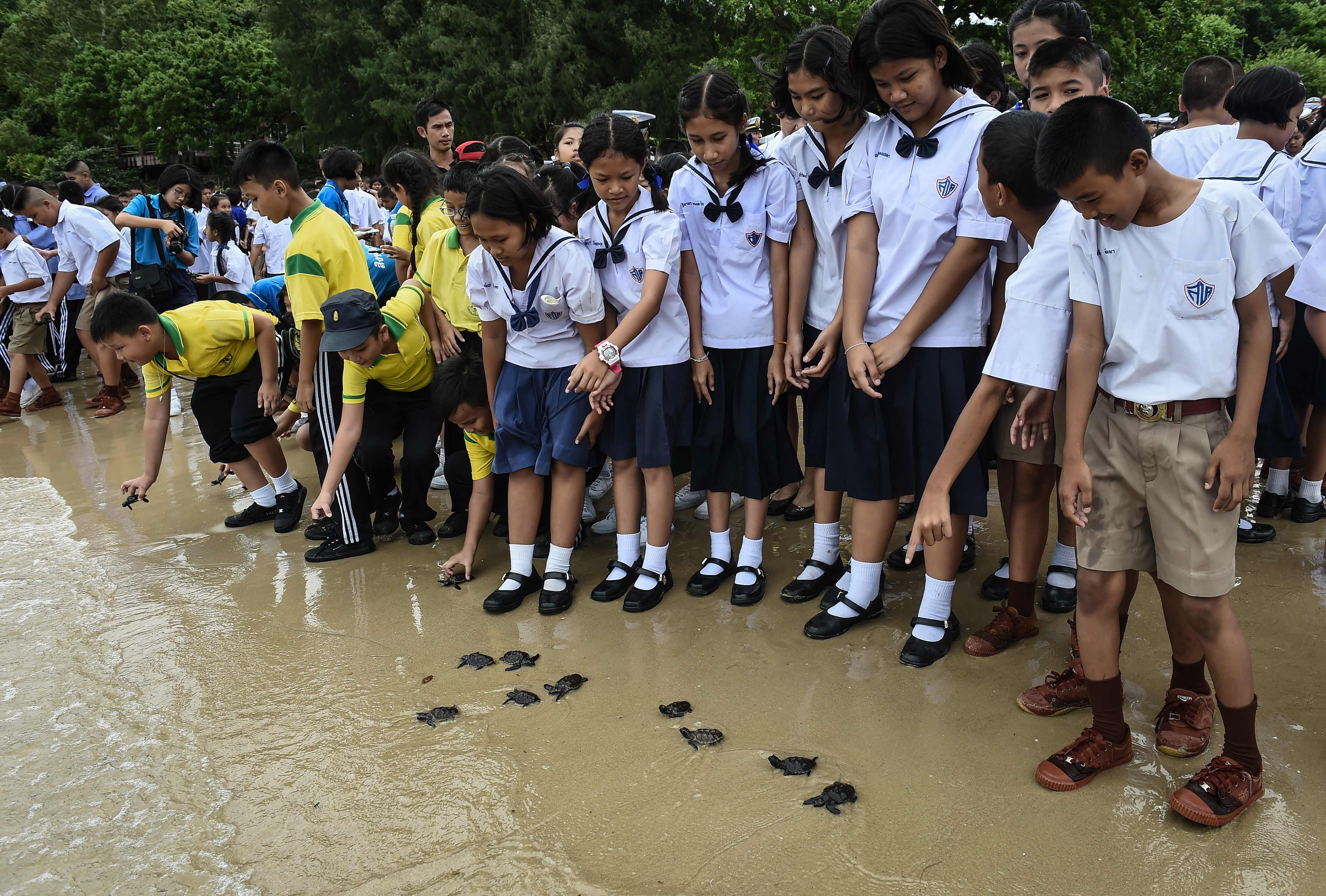 u0623u0637u0641u0627u0644 u062au0627u064au0644u0646u062fu064au0648u0646 u064au0637u0644u0642u0648u0646 u0627u0644u0633u0644u0627u062du0641 u0625u0644u0649 u0627u0644u0628u062du0631   (u0623.u0641.u0628)