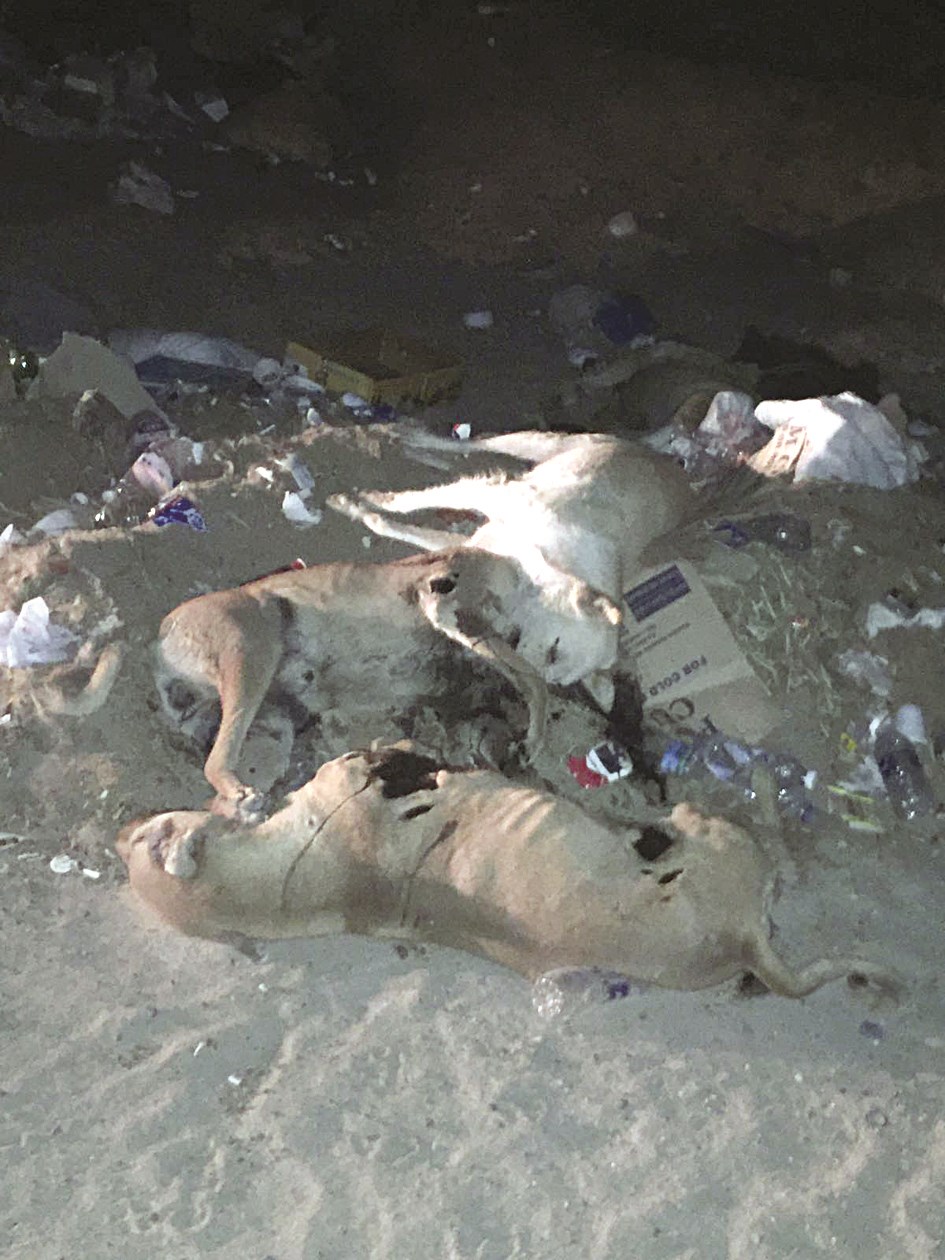 ... وأخرى لحقت بها