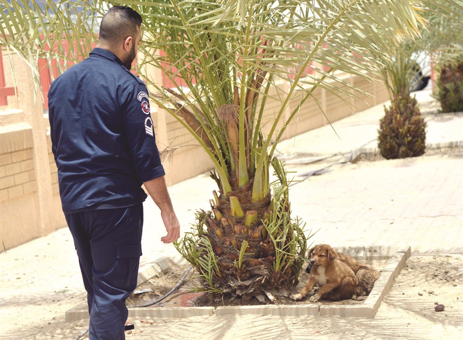 إطفائي يحاول إبعاد كلب عن المركز