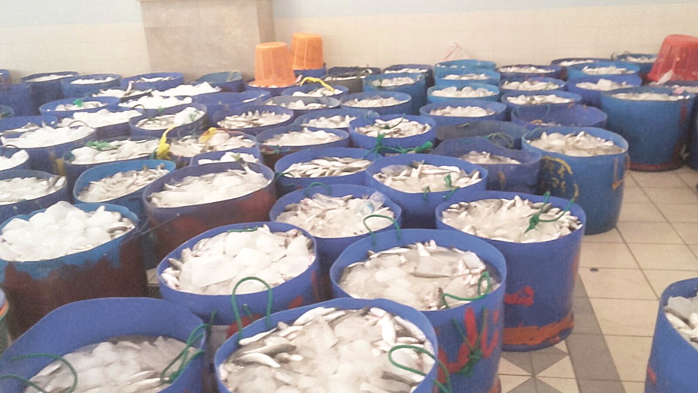 u0627u0644u0645u064au062f... u0632u064au0627u062fu0629 u0641u064a u0627u0644u0645u0639u0631u0648u0636 u062au0642u0627u0628u0644u0647u0627 u0632u064au0627u062fu0629 u0641u064a u0627u0644u0637u0644u0628