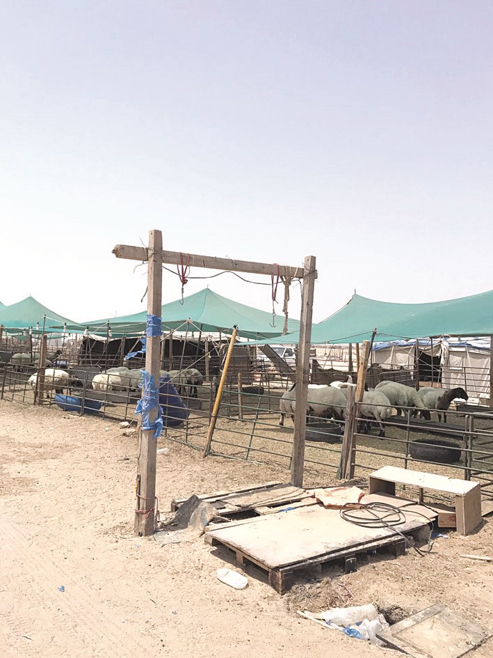 u062cu0648u0627u062eu064au0631 u0648u0645u0633u0627u0644u062e u0645u062eu0627u0644u0641u0629 u0641u064a u0627u0644u0628u0631