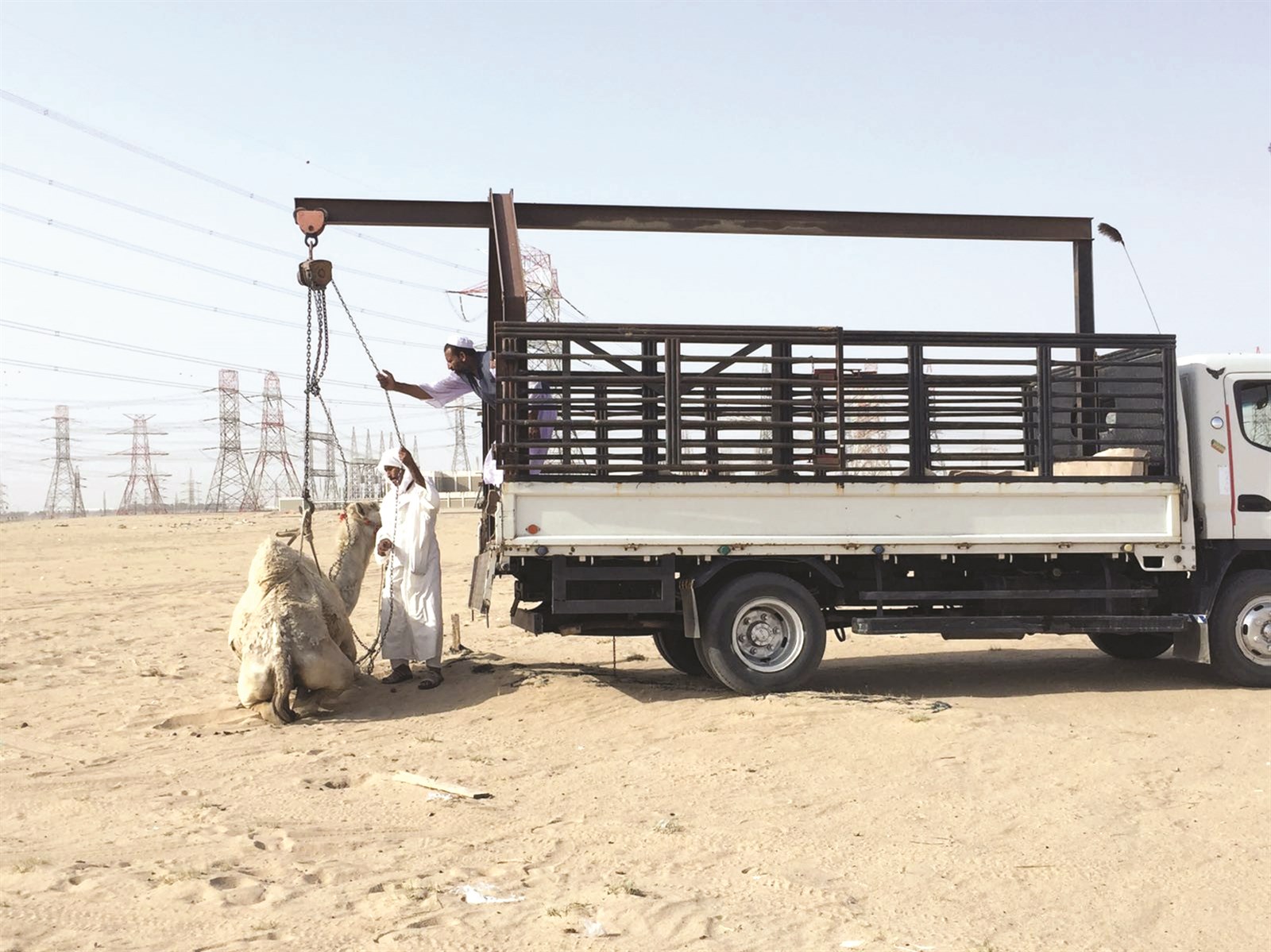 u0645u0635u0627u062fu0631u0629 u062cu0645u0644