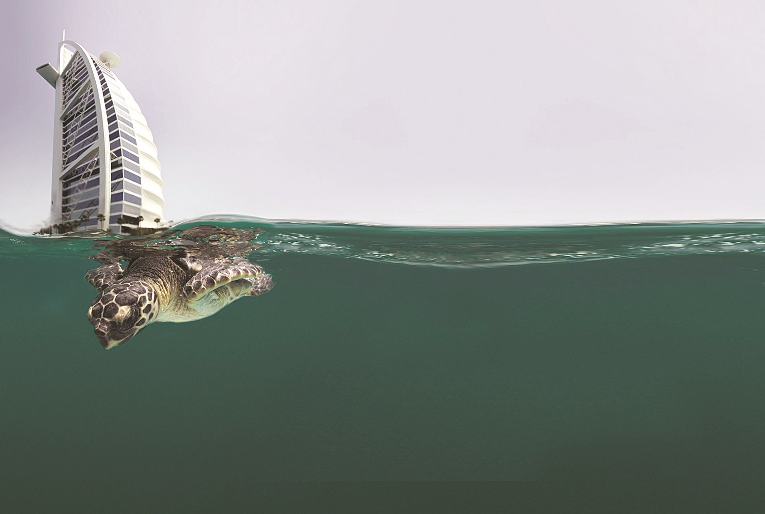 u0625u0639u0627u062fu0629 u062au0623u0647u064au0644 u0627u0644u0633u0644u0627u062du0641