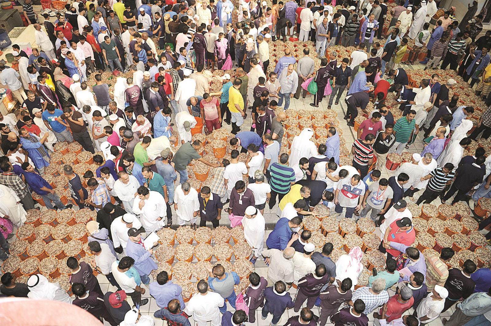 تهافت على «أم نعيرة»