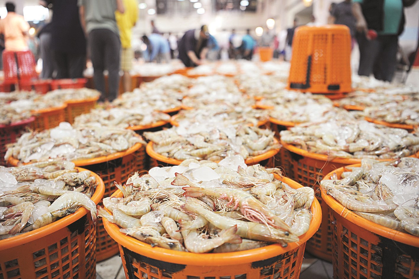 u0627u0644u0631u0648u0628u064au0627u0646... u0639u0627u062f (u062au0635u0648u064au0631 u0637u0627u0631u0642 u0639u0632 u0627u0644u062fu064au0646)