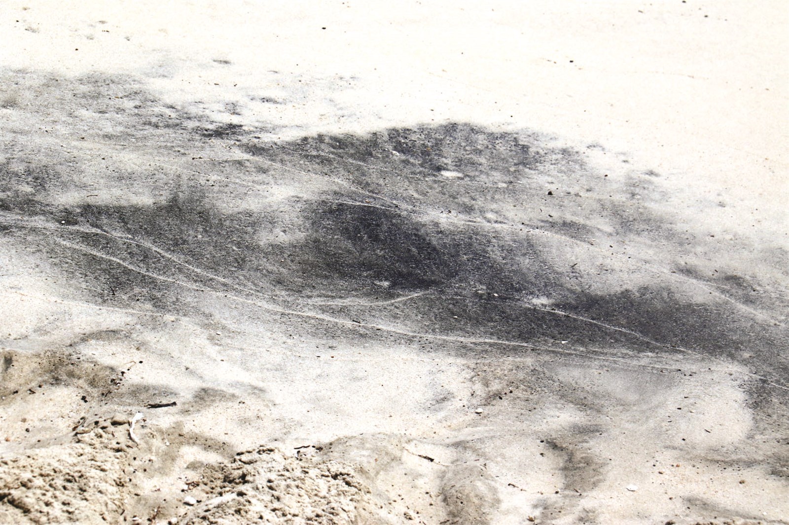 u0622u062bu0627u0631 u0627u0644u0632u064au062a u0648u0635u0644u062a u0625u0644u0649 u0627u0644u0634u0648u0627u0637u0626 (u062au0635u0648u064au0631 u0628u0633u0627u0645 u0632u064au062fu0627u0646)