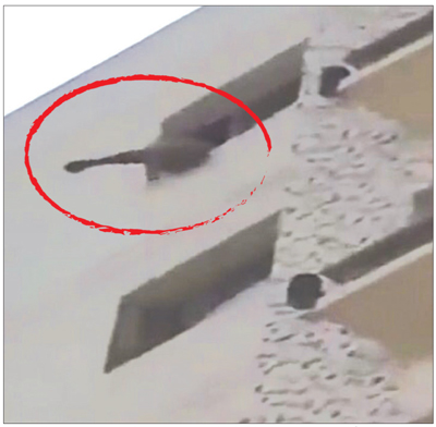 u0627u0644u0645u0637u0644u0648u0628 u0645u062au0634u0628u062bu0627u064b u0628u062du0627u0641u0629 u0627u0644u0646u0627u0641u0630u0629