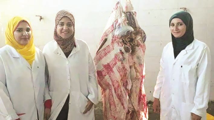 u0627u0644u0637u0628u064au0628u0627u062a u0627u0644u0628u064au0637u0631u064au0627u062a u0627u0644u0645u0635u0631u064au0627u062a u0627u0641u062au062au062du0646 u0645u062au062cu0631 u062cu0632u0627u0631u0629