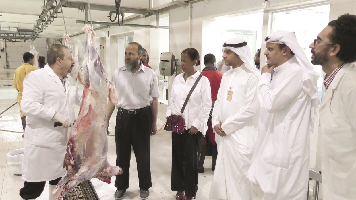 الرشدان خلال تفقدها أحد المسالخ الموقتة