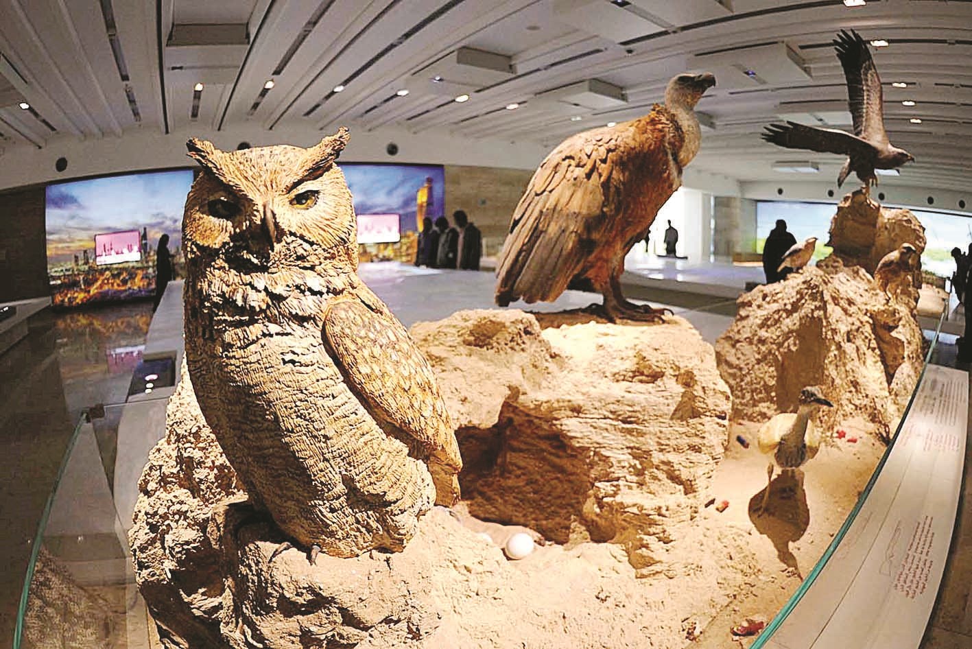 متحف الموطن بحديقة الشهيد