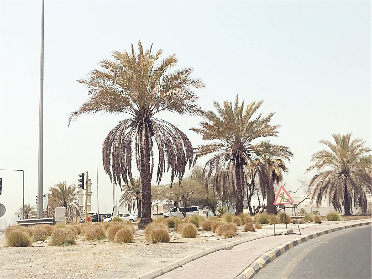 u0627u0644u062cu0641u0627u0641 u064au0628u062fu0648 u0648u0627u0636u062du0627u064b u0639u0644u0649 u0628u0639u0636 u0645u0632u0631u0648u0639u0627u062a u0627u0644u0634u0648u0627u0631u0639