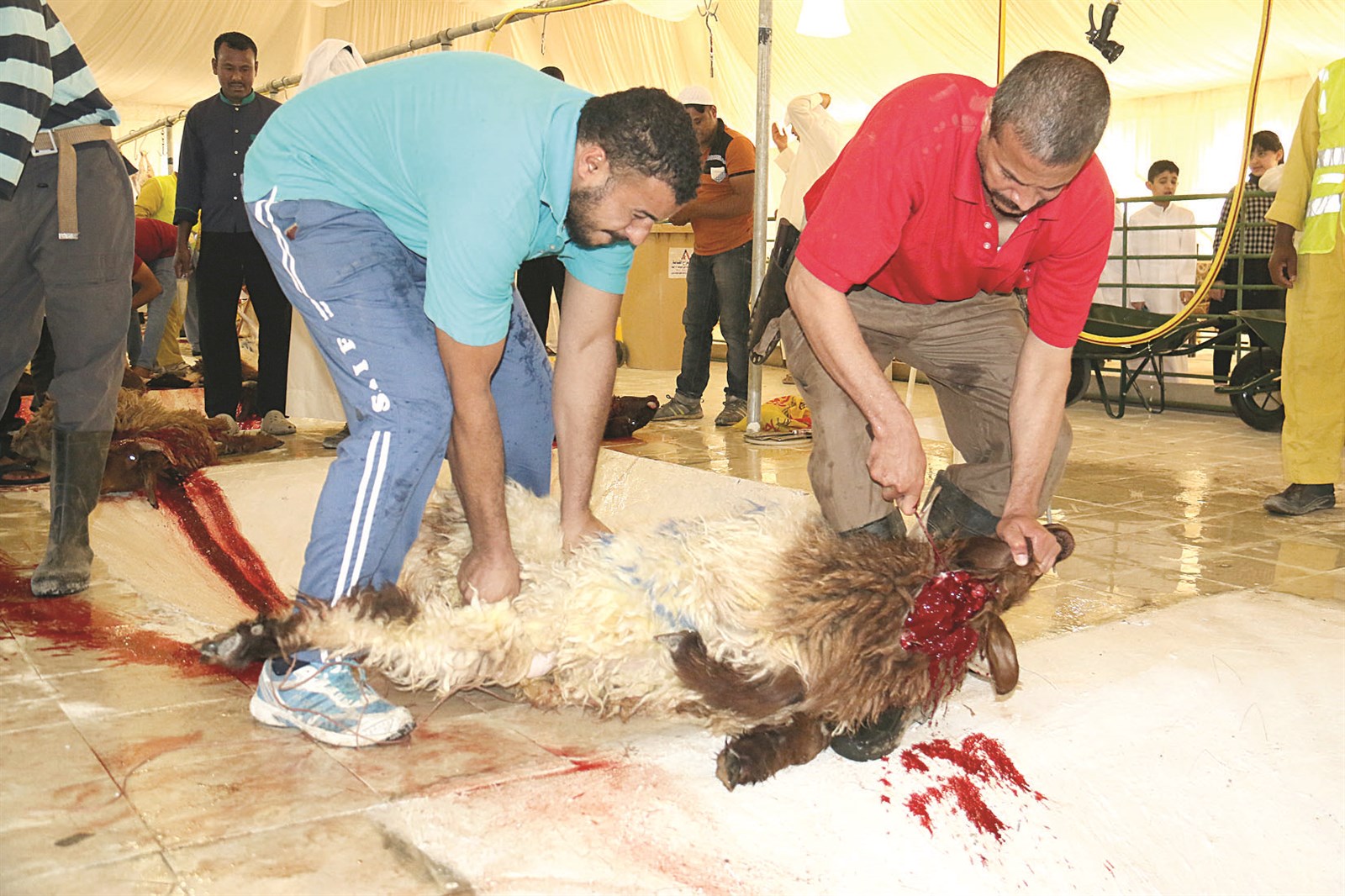 ذبح على البلاط