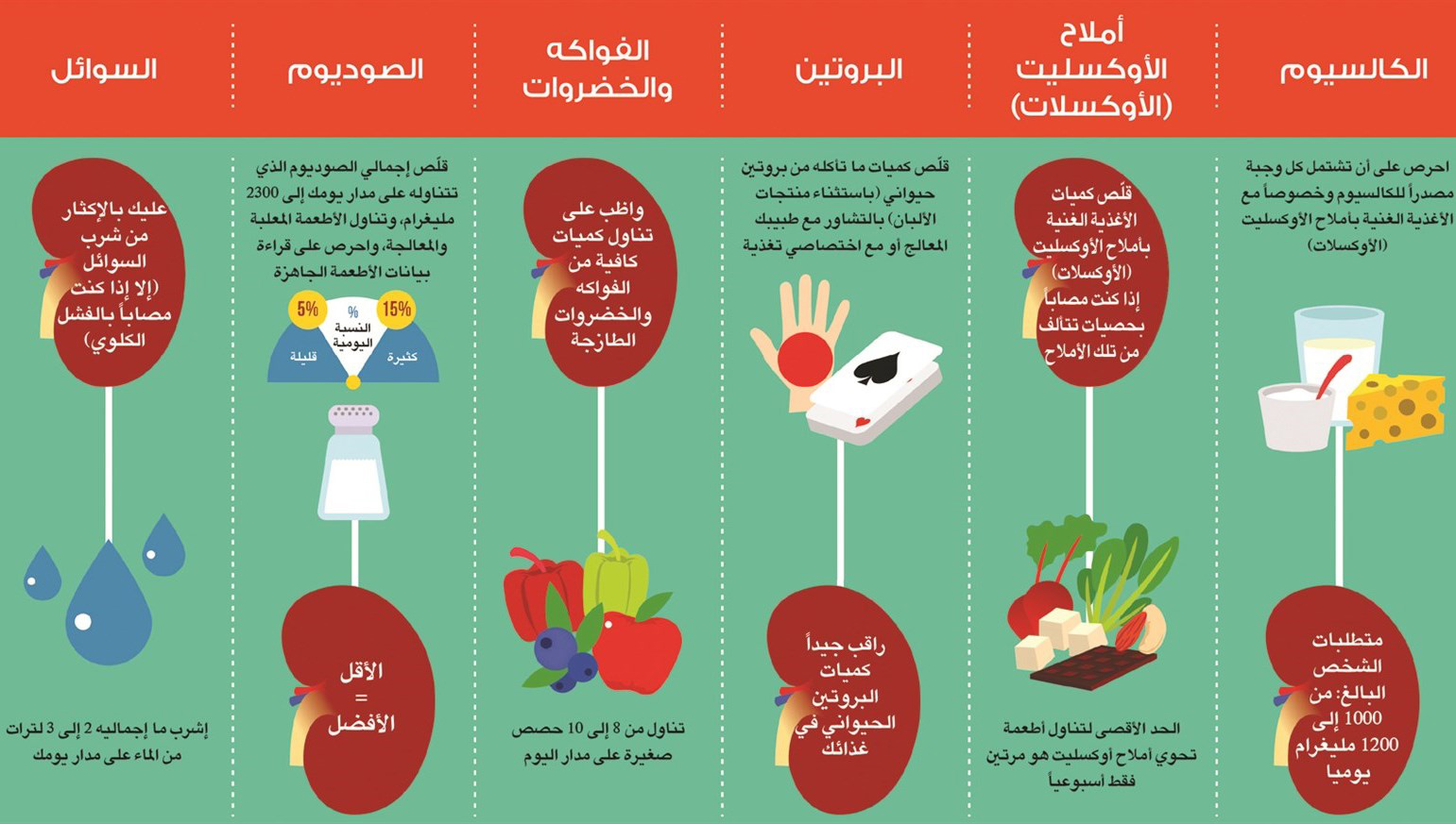 مخطط معلوماتي (انفوغرافيك) يقدم إرشادات وقائية ضد أنواع الحَصَيات الكُلَويِّة