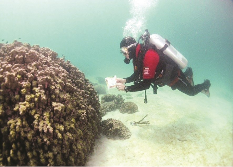 u0623u062du062f u0623u0639u0636u0627u0621 u0627u0644u0641u0631u064au0642 u062eu0644u0627u0644 u0639u0645u0644u064au0629 u0627u0644u062au0648u062bu064au0642