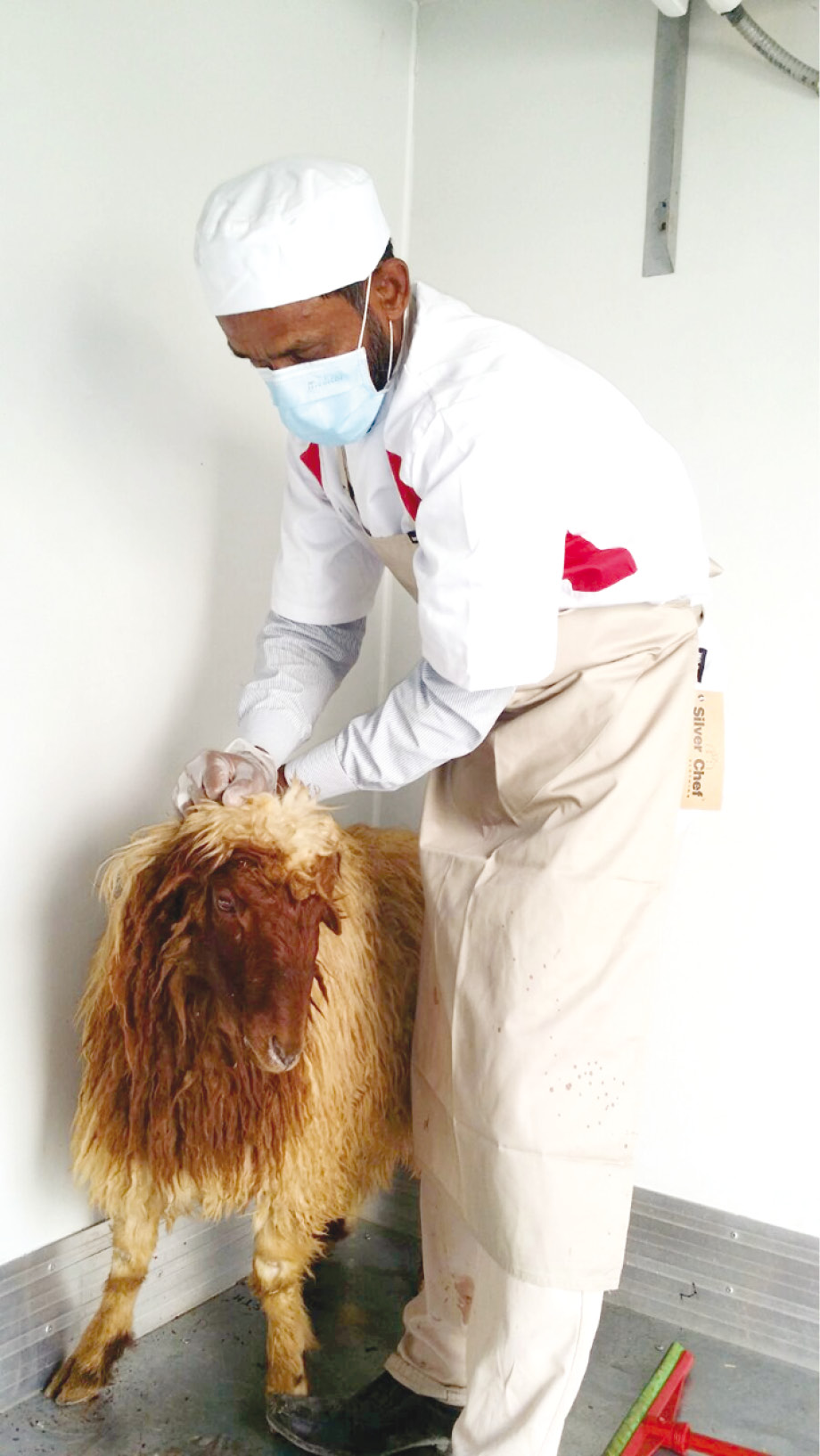 عمالة مدربة في المشروع