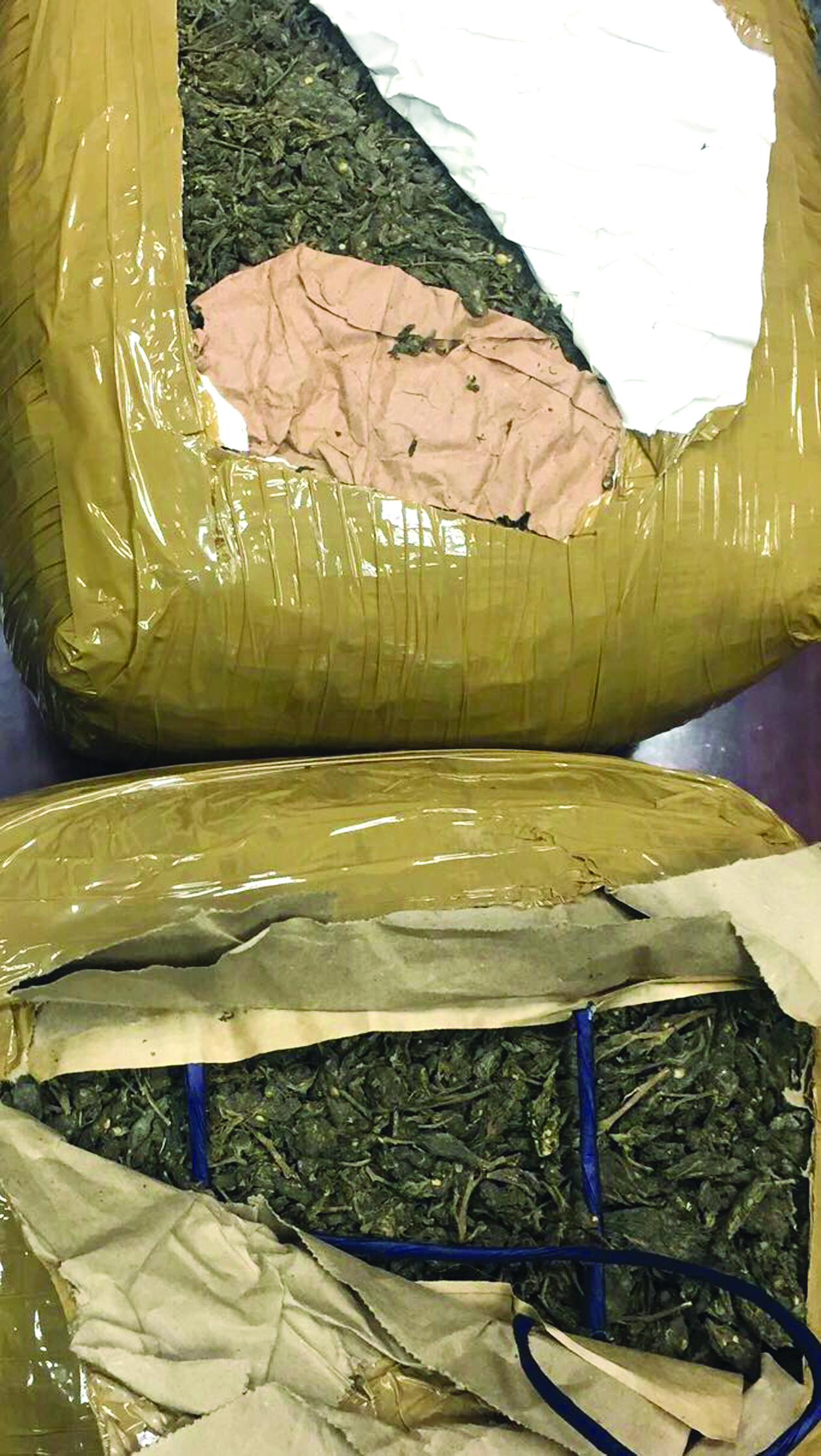 u0627u0644u0645u0636u0628u0648u0637u0627u062a