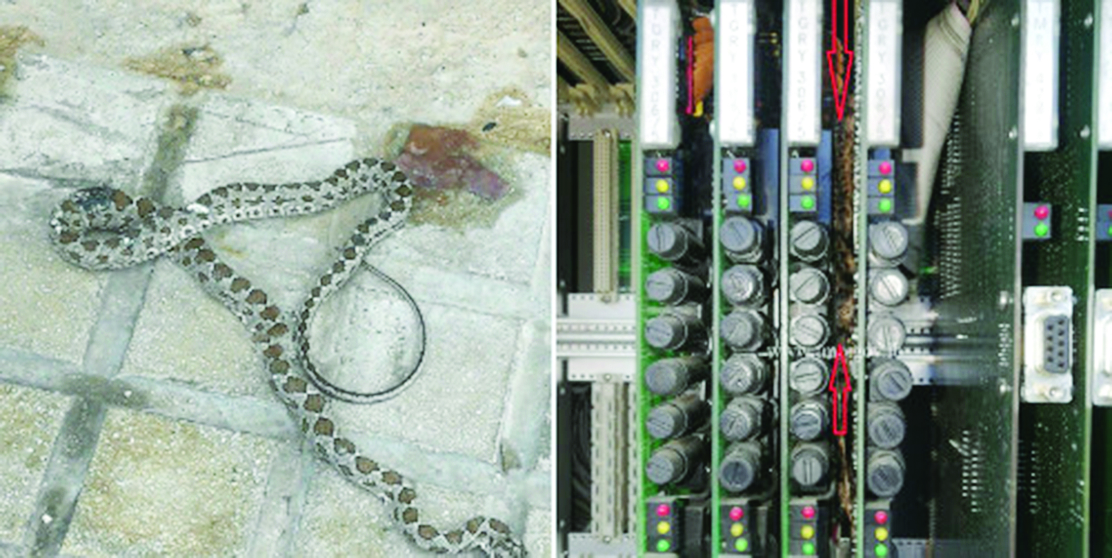 u0627u0644u0635u0648u0631u062au0627u0646 u0627u0644u0644u062au0627u0646 u0646u0634u0631u0647u0645u0627 u062du0633u0627u0628 u00abu063au0631u0641u0629 u0627u0644u062au062du0643u0651u0645 u0627u0644u0645u0631u0648u0631u064au00bb