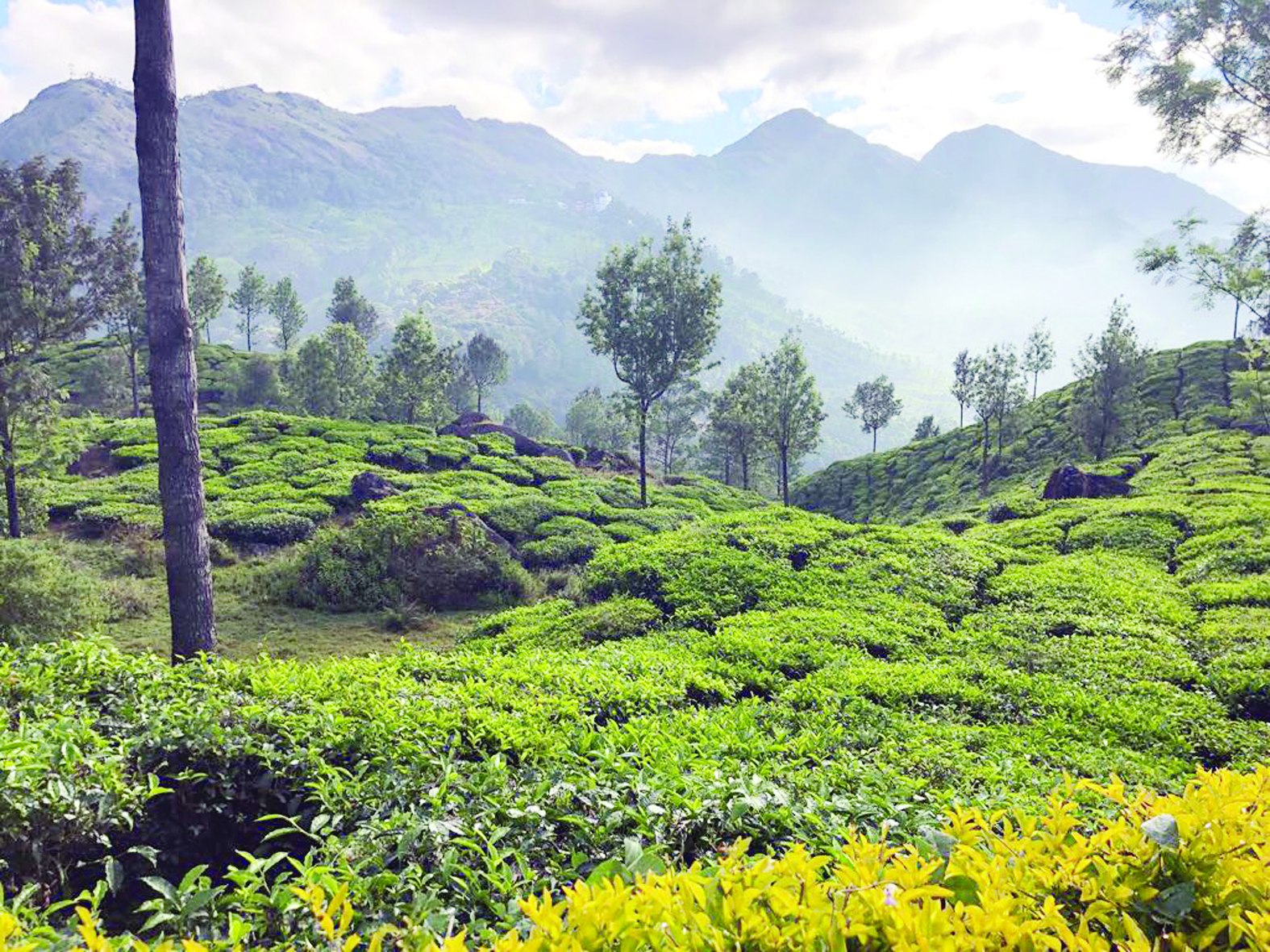 طبيعة خلابة