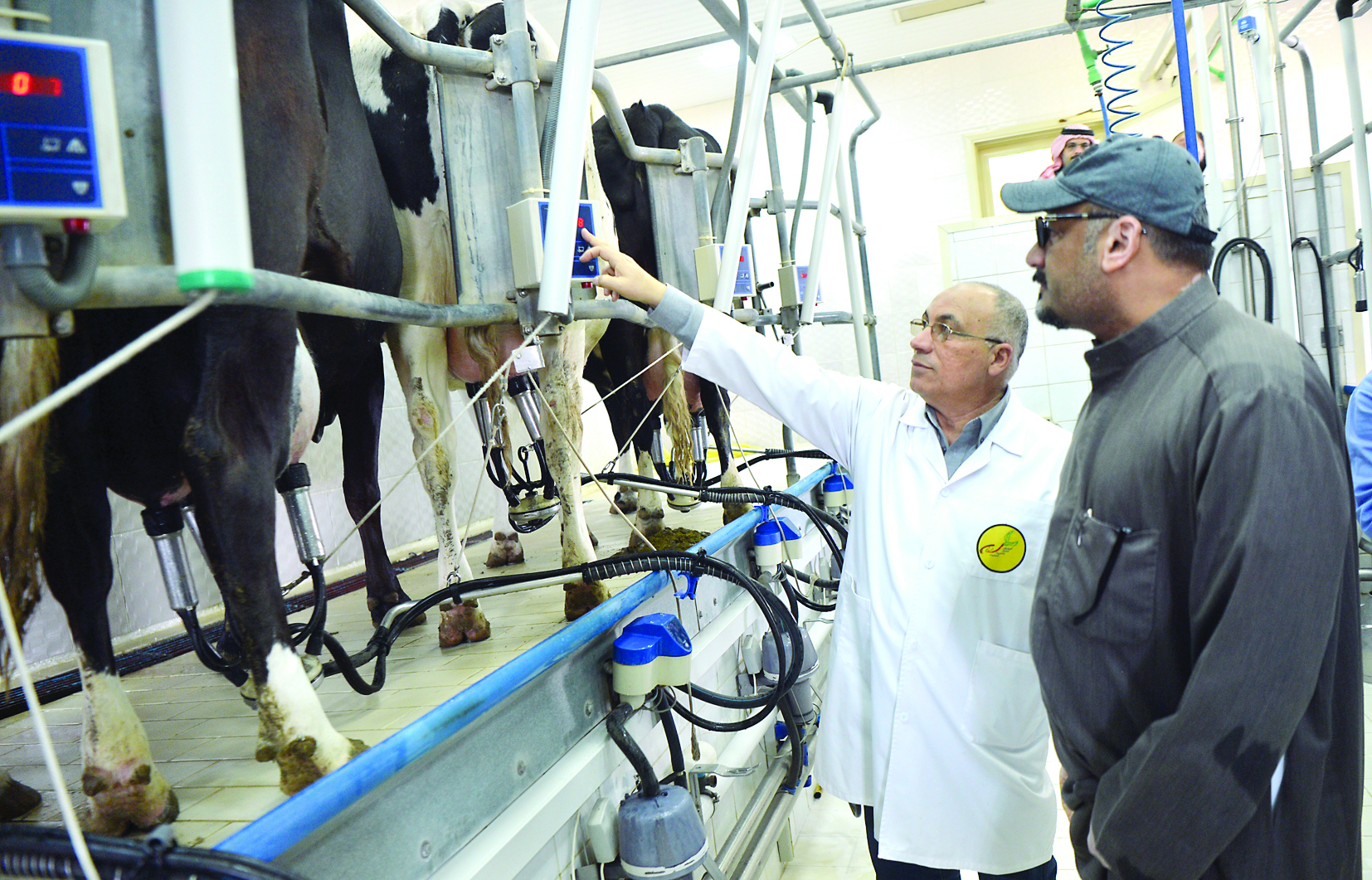 الدكتور أيمن تهامي يشرح للزميل ناصر الفرحان عملية الحلب الآلي