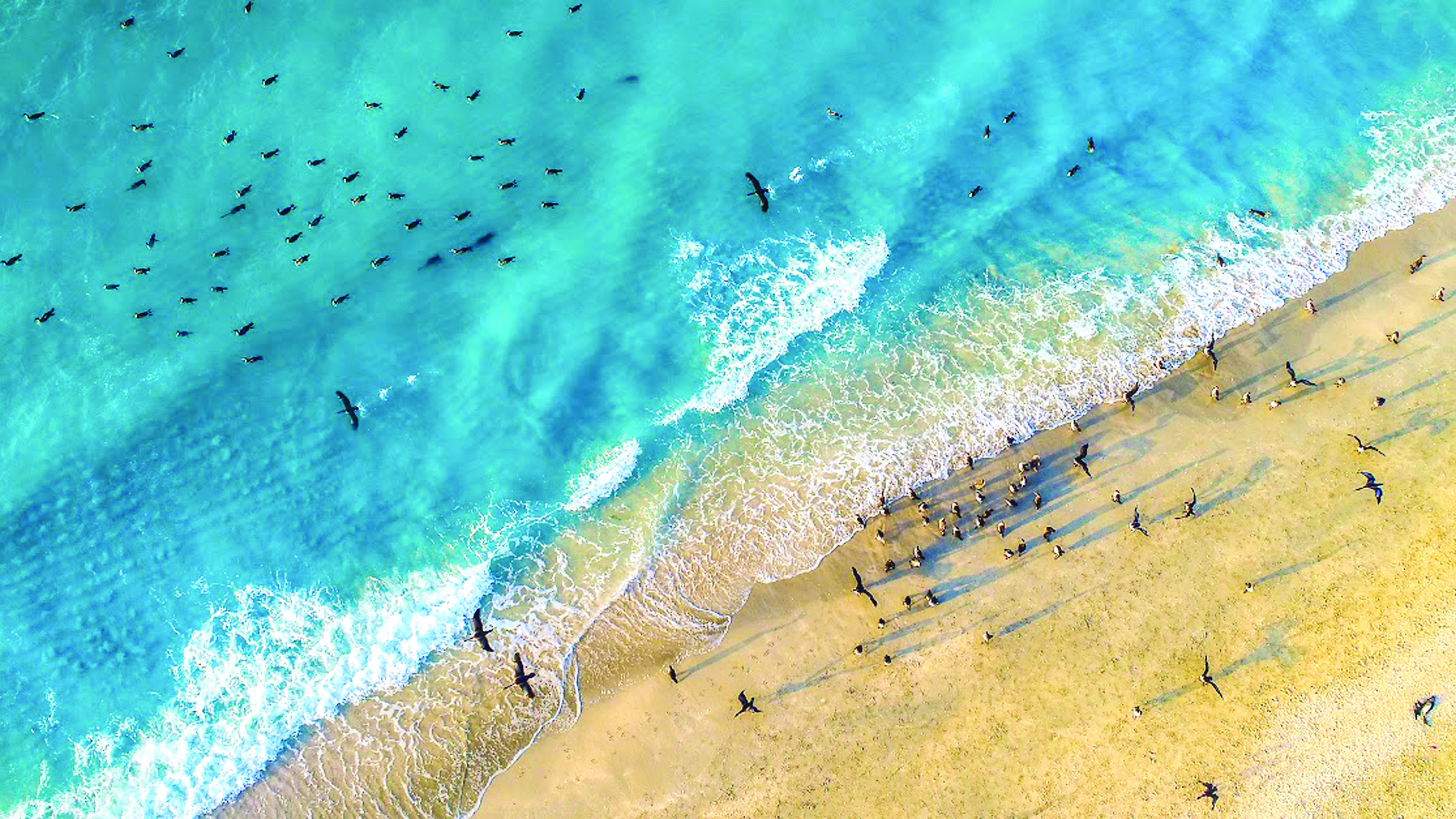 u0623u0633u0631u0627u0628 u0643u062bu064au0631u0629 u0645u0646 u00abu0627u0644u0644u0648u0647u0629u00bb u062du0637u062a u0641u064a u0627u0644u062cu0632u064au0631u0629 