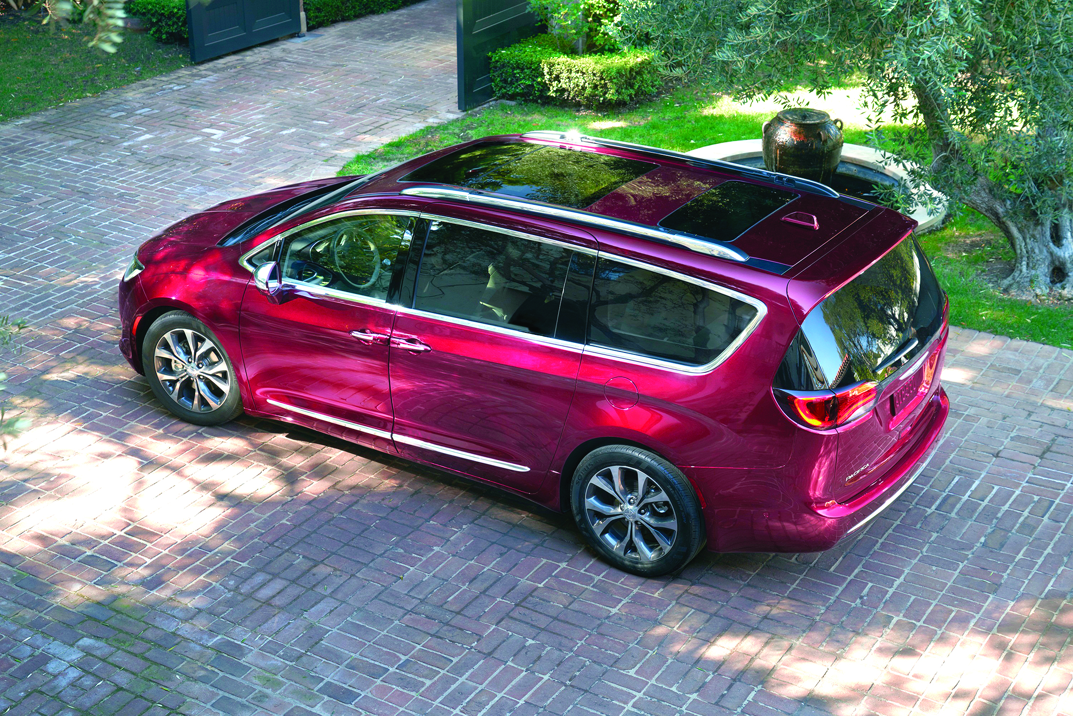 نجمة جديدة في الأسواق