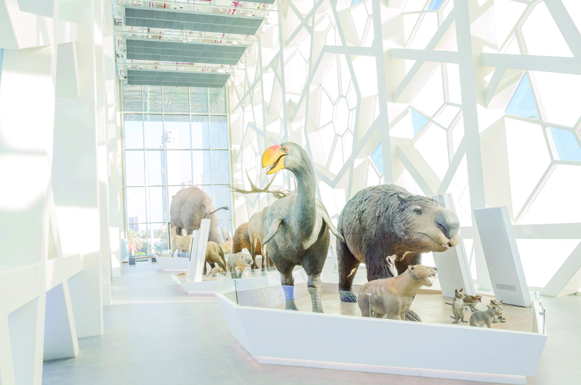 من معروضات المتحف