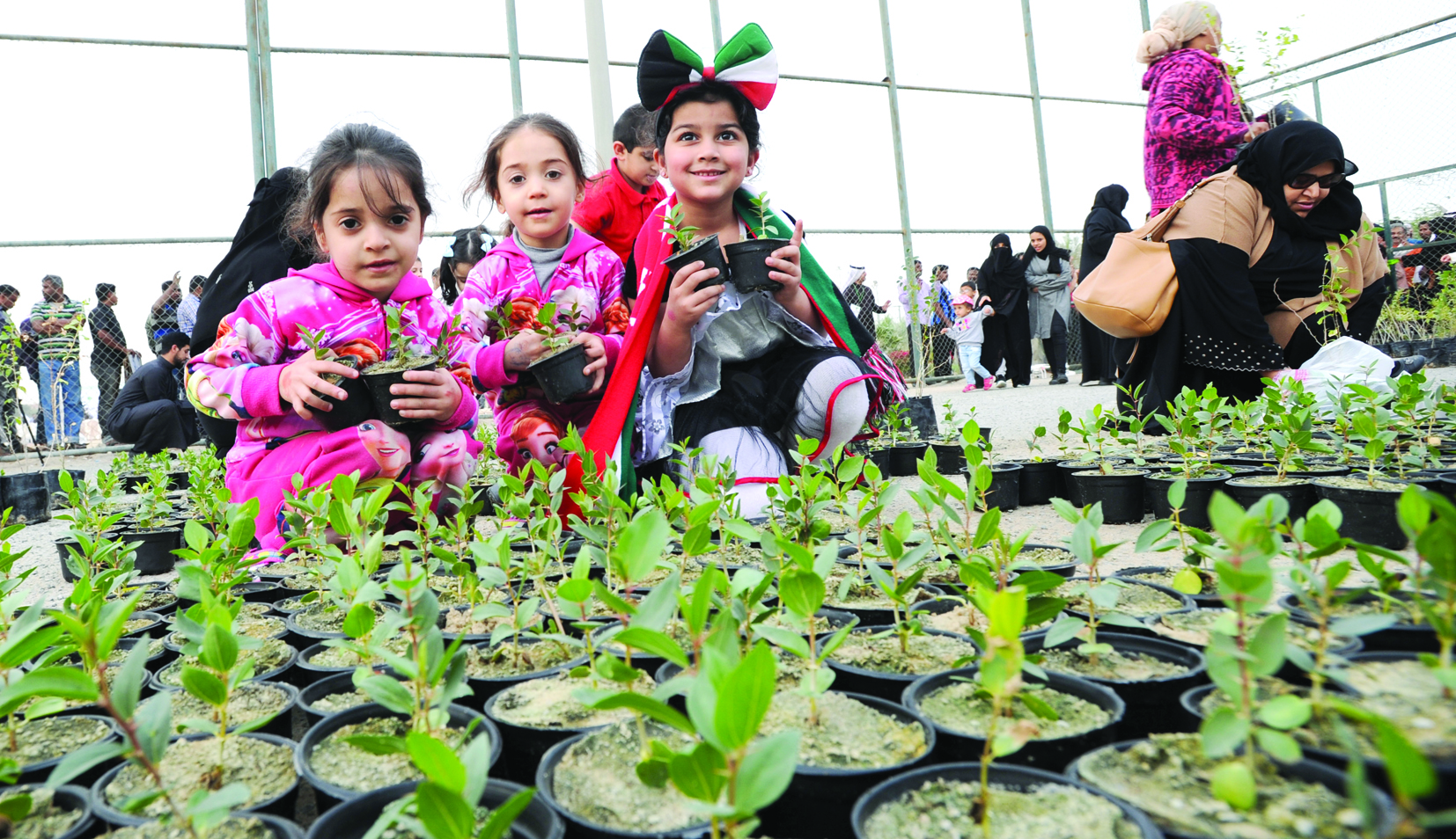 مستقبل الكويت أخضر 