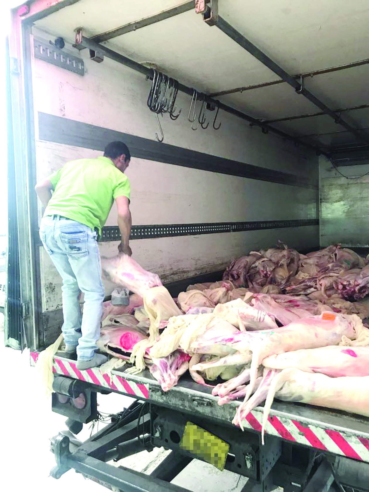 نقل اللحوم من المحلين المغلقين