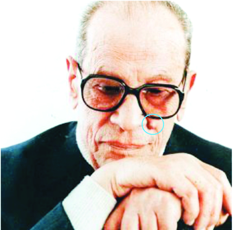 شامة نجيب محفوظ