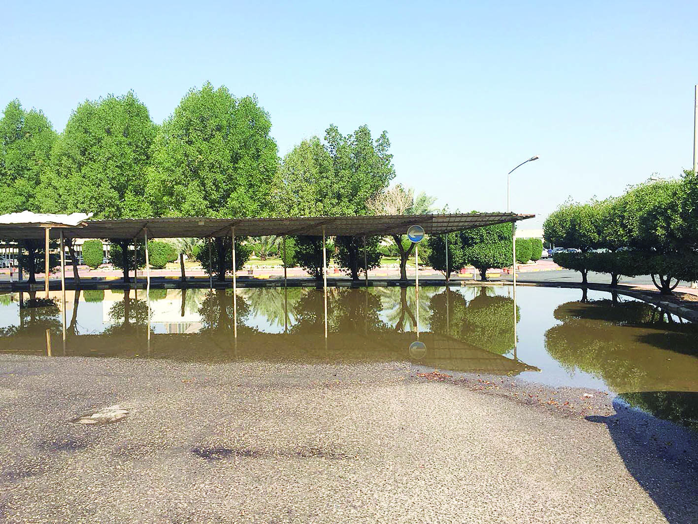 u0645u0648u0627u0642u0641 u0627u0644u0633u064au0627u0631u0627u062a u0641u064a u0645u0628u0646u0649 u00abu0627u0644u062au0631u0628u064au0629u00bb 