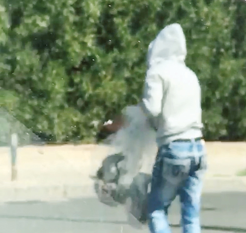 u0633u0627u0631u0642 u0627u0644u062du0645u0627u0645 u062eu0644u0627u0644 u062au0648u062cu0647u0647 u0625u0644u0649 u0633u064au0627u0631u062au0647